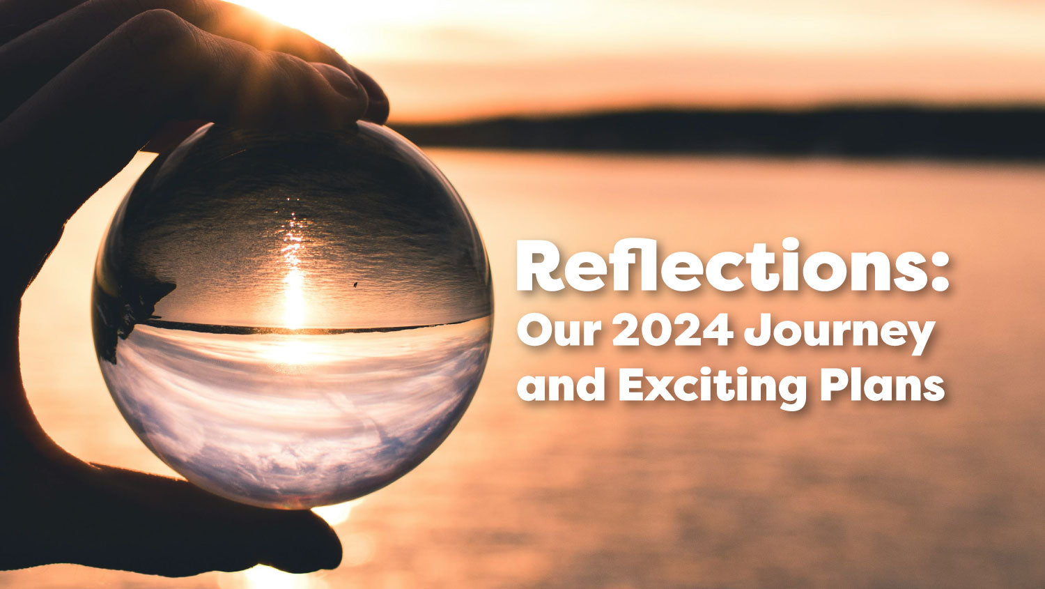 Reflections: Our 2024 Journey and Exciting Plans